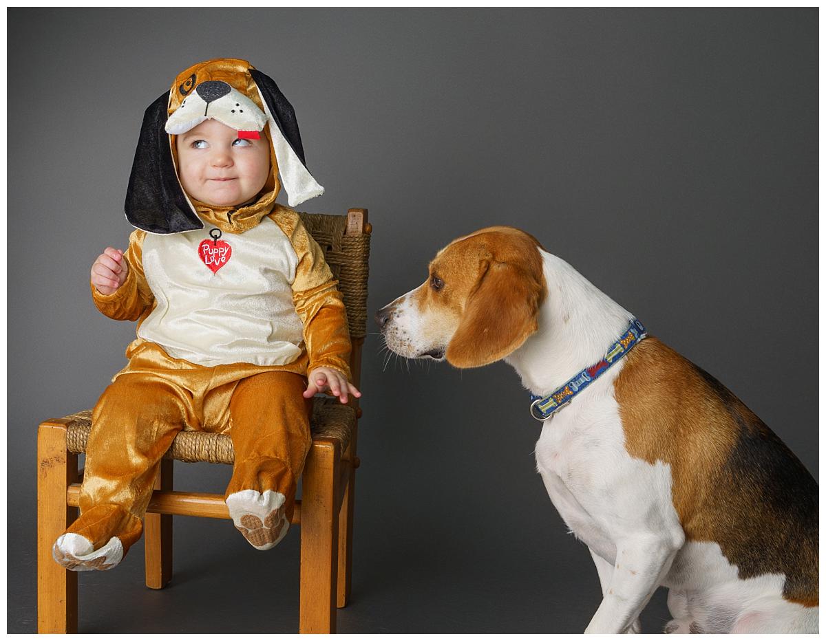 Professional Family photograph taken by one of Northern Ireland's top Family photographers in Belfast of a little boy dresses as a dog and a Beagle sat next to him on a dark grey backdrop
