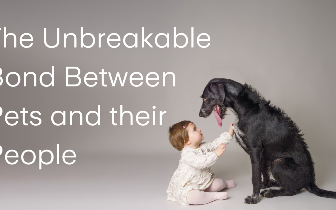 The Unbreakable Bond Between Pets and their People