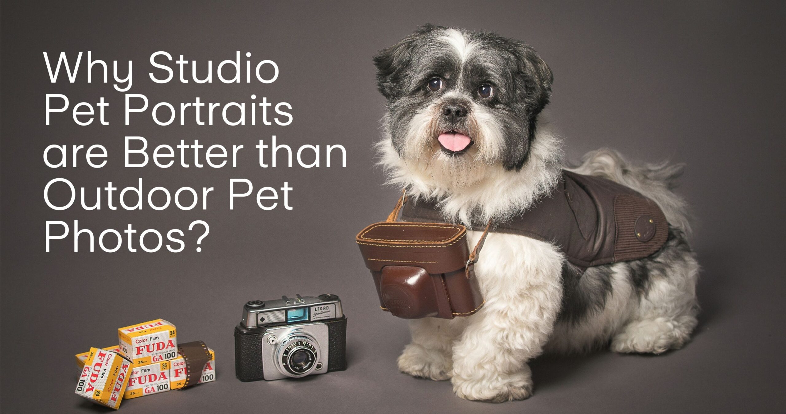 Professional pet photograph, taken by Northern Ireland's top pet photographer in Belfast of Lhasa Apso with a camera bag around his neck with a vintage camera and film on a grey backdrop