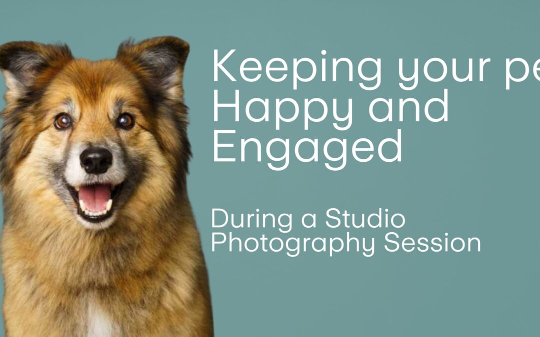 Picture Paw-fect: Tips for Keeping Your Furry Friend Calm and Happy During a Studio Photoshoot
