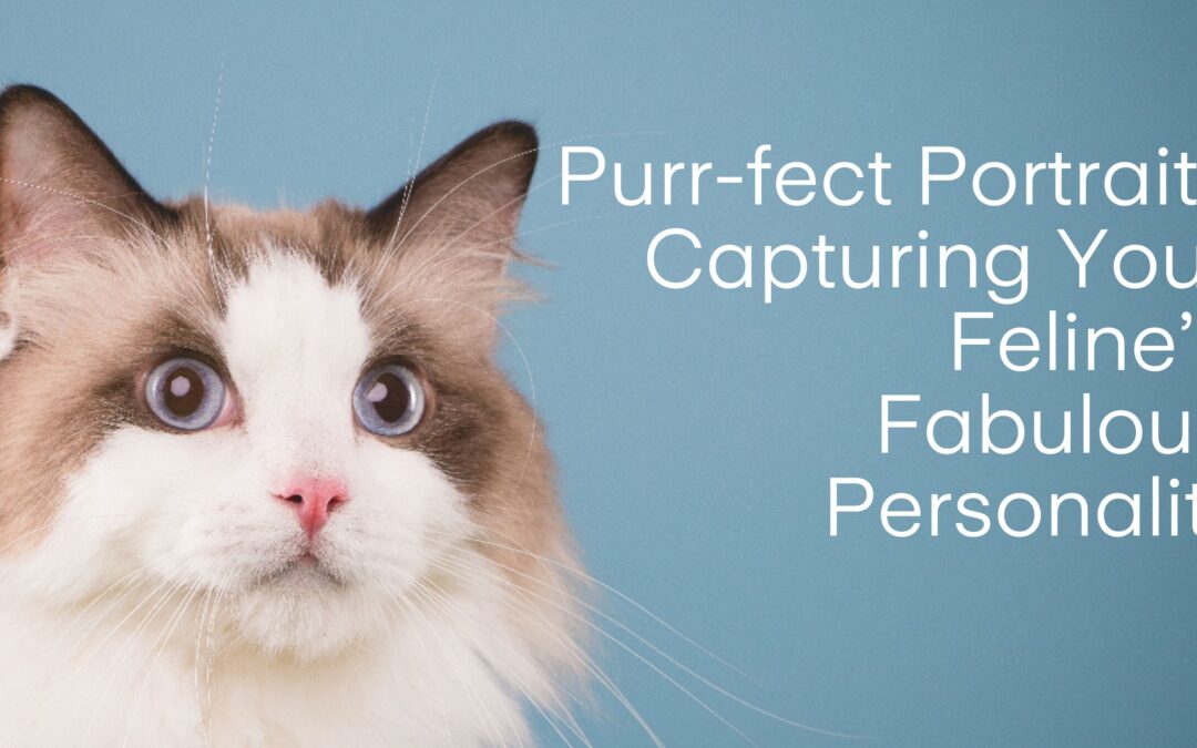Purr-fect Portraits: Capturing Your Feline’s Fabulous Personality