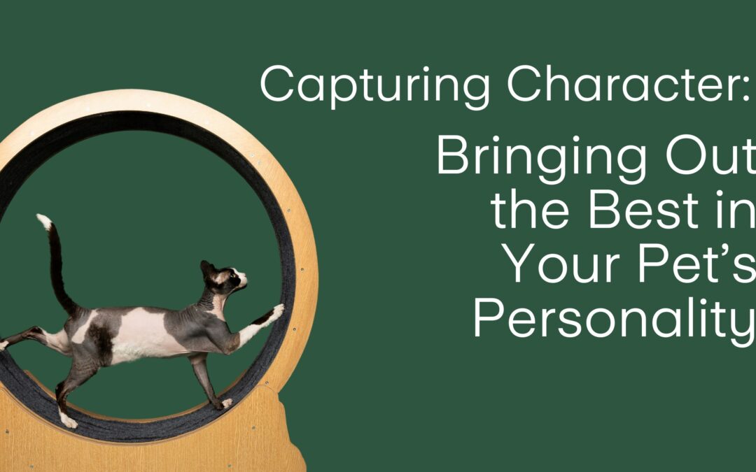Capturing Character: Bringing Out the Best in Your Pet’s Personality