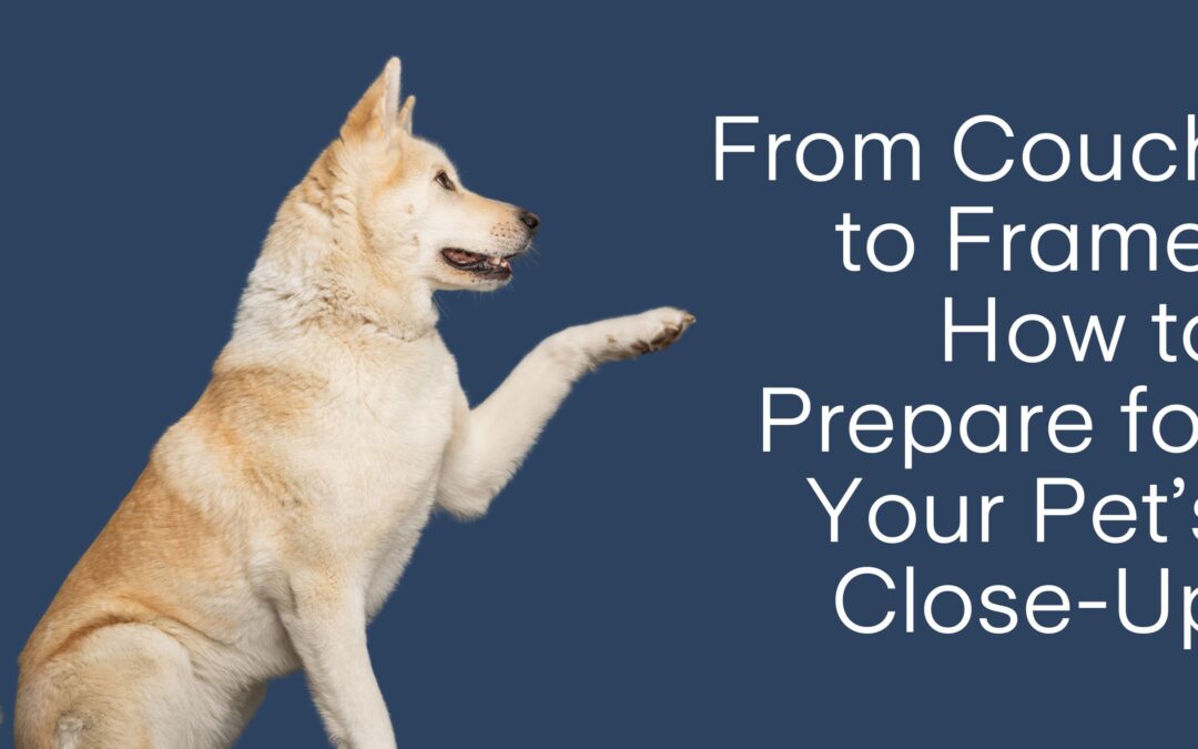 From Couch to Frame: How to Prepare for Your Pet’s Close-Up