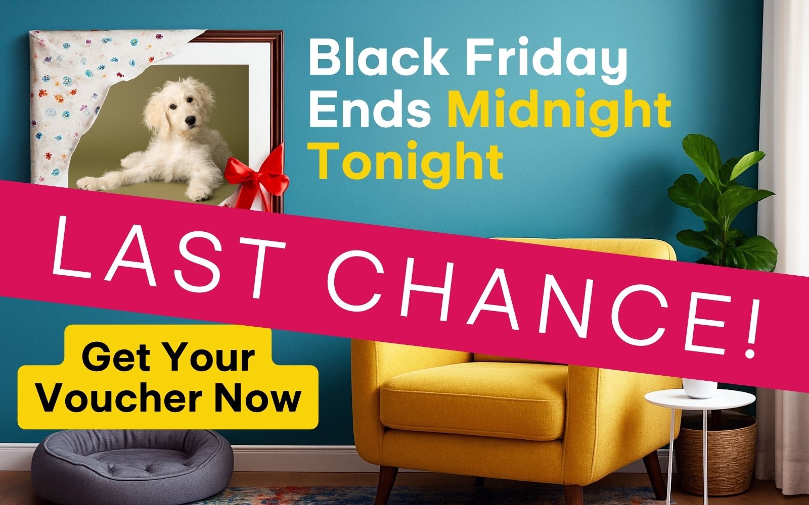 Black Friday at Graham Crichton