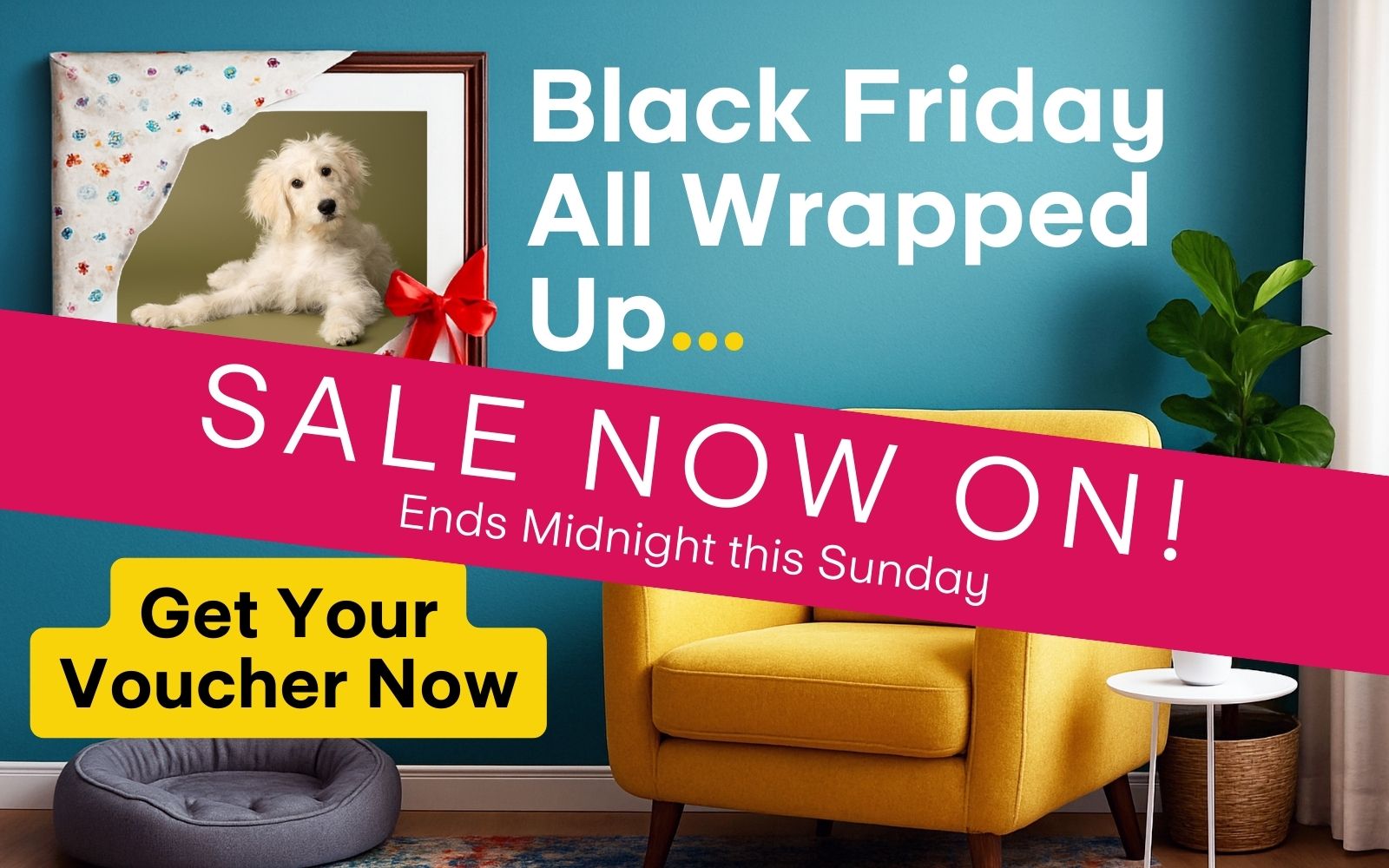 Black Friday at Graham Crichton