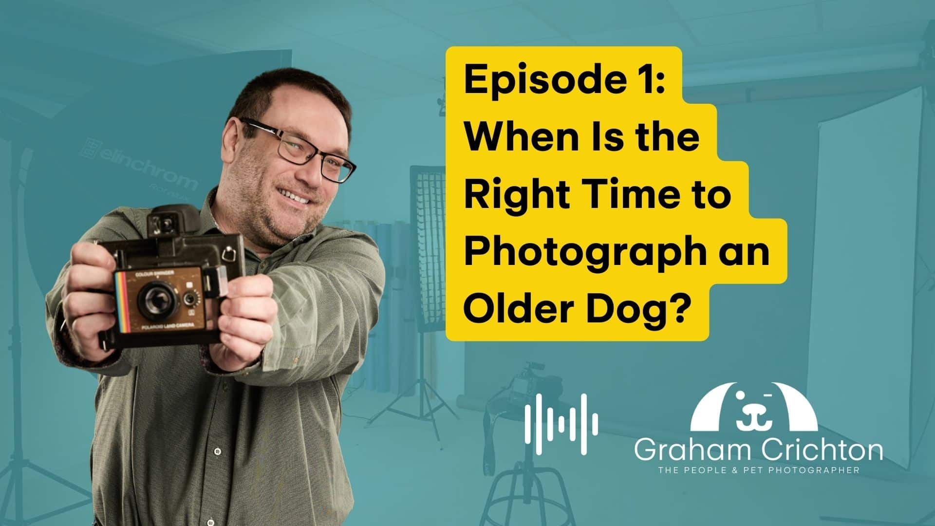 When is the right time to have my older dog photographed?
