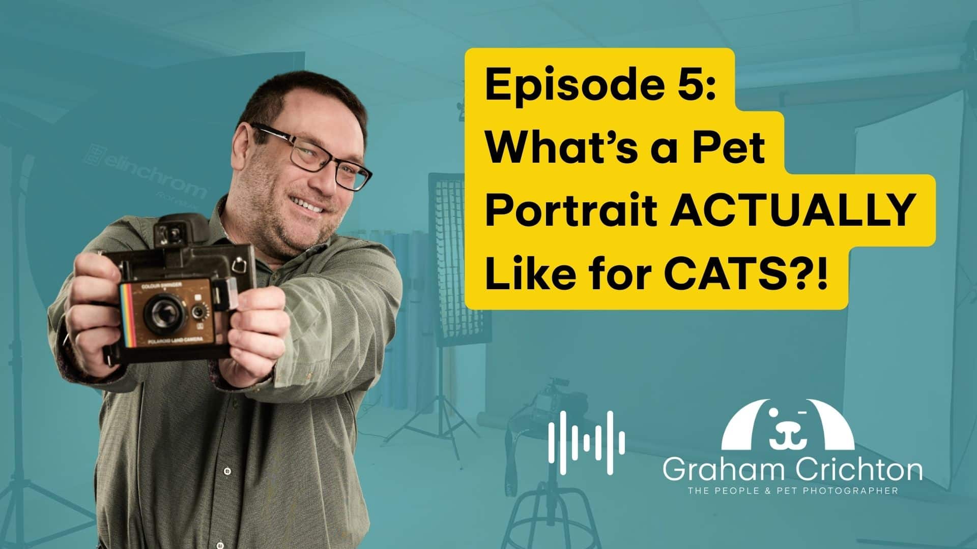 Before You Book a Pet Portrait PodCast: Episode 5 – What Is a Pet ...