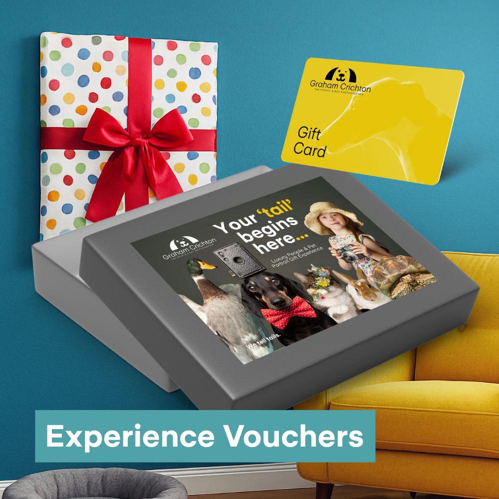 Portrait Experience Vouchers Portrait Experience Vouchers